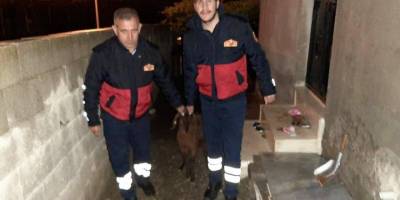 Adıyaman’ın Kahta ilçesinde Kayıp keçi sahibine teslim edildi