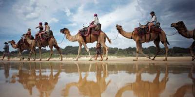 Avustralya 5 Bin Deve Öldürüp Felaket Yaşayınca Hud Suresi Hatırlandı