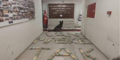 Van'ın Gürpınar ilçesinde toprağa gömülü 248 kilo eroin bulundu