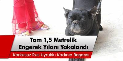 Korkusuz Rus uyruklu kadın 1,5 metrelik engerek yılanı yakaladı