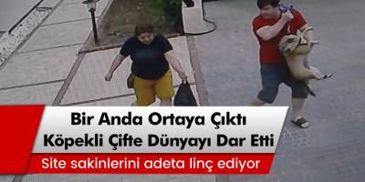Antalya’da yavrularını koruyan anne kedi site sakinlerini adeta linç ediyor