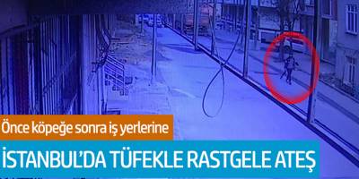 İstanbul'da Tüfekle Rastgele Ateş! Önce Köpeğe Son İş Yerlerine