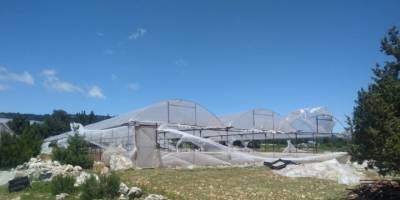 Doğu Anadolu Bölgesi’ne kuvvetli rüzgar uyarısı