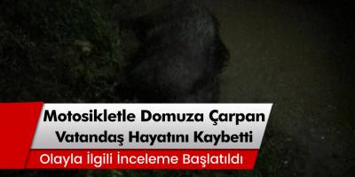 Motosikletle domuza çarpan İbrahim Kurhan olay yerinde hayatını kaybetti