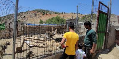 Gaziantep'de sokak hayvanları için mama ve ilaç desteği