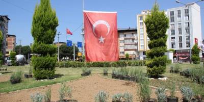 Nazilli Belediyesi Dörtyol Kavşağı’nda peyzaj çalışmaları başlattı