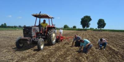 Yer fıstığı toprakla buluştu
