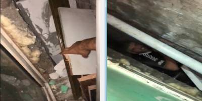 Uyuşturucu ticaretinde ceza alan şahıs 'Sıkın bir tane kafama, en güzeli o olur'