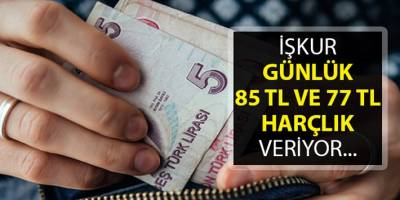 41 Bin kişi hemen alınacak İşsizlere müjde günlük 85 TL!