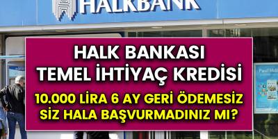 Siz hala kredinizi almadınız mı? Halk bankası 10 bin lira temel ihtiyaç kredisi başvurusu nasıl yapılır?