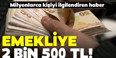 Müjde Emekliye 2020 yılı 2500 TL Ek Ödeme! İşte Detaylar