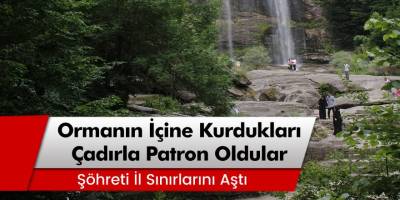 Bursalı kadınlar ormanların içine kurdukları çadırla patron oldu