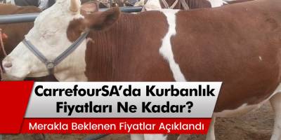 CarrefourSA’da kurbanlık fiyatları 2020 büyükbaş/küçükbaş hisse fiyatı ne kadar?