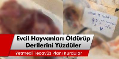 Evcil Hayvanları Öldürüp Derilerini Yüzdüler, Yetmedi Tecavüz Planları Kurdular!