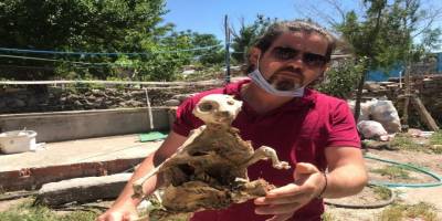 Kayseri’de kömürlükten fosil çıktı