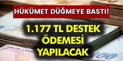 Müjde! Hükümet Düğmeye Bastı 1. 177 TL Destek Ödemesi Yapılacak