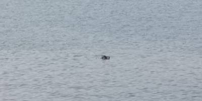 Van Gölü'nde teknede hayatını kaybedenlerin sayısı 10'a yükseldi