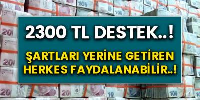 2 bin 300 TL destek veriliyor! Şartlara uyan herkes alabilir! İşte detaylar…