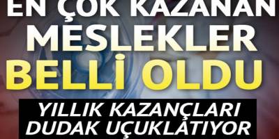 Yıllık kazançları dudak uçuklatıyor En çok kazanan meslekler belli oldu!