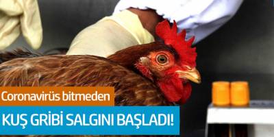 Coronavirüs bitmeden kuş gribi salgını başladı