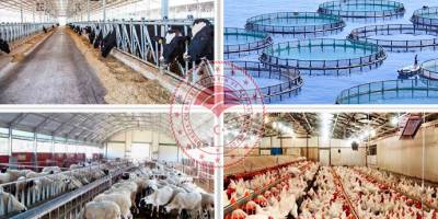 Faizsiz kredi desteğiyle hayvancılığa başlama fırsatı