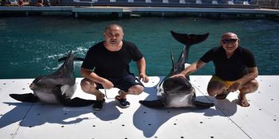 Ünlü komedyen Şafak Sezer’in Yunus balıklarıyla imtihanı