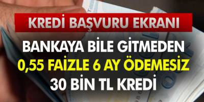 Bankaya Bile Gitmeden 0,55 Faizle 6 Ay Ödemesiz 30 Bin TL Alın! Başvuru Ekranı Burada…