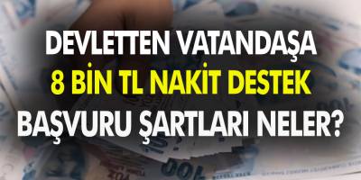 Vatandaşlara Devletten 8 Bin TL Nakit Destek Verilecek! Başvuru Şartları Neler?