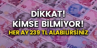 Kimsenin haberi yok ama devlet her ay 239 TL veriyor! 239 TL almak için gerekli şartlar ve detaylar…