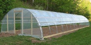 Seracılık Hibe Desteği Alma Şartları