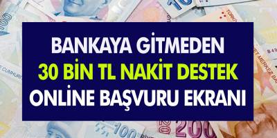 Bankaya gitmeye gerek yok... 30 Bin TL Kredi 6 ay geri ödeme olmayan kredi için online başvuru ekranı...