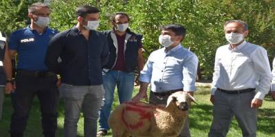 Belediye Başkanı Ramiz Ergü tatlı yerine kurbanlık götürdü