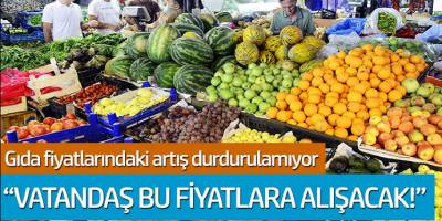 Gıda fiyatlarındaki artış durdurulamıyor! 'Vatandaş bu fiyatlara alışacak'