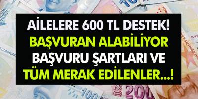 Ailere 600 TL Destek! Başvuran Herkes Alabiliyor… Başvuru Şartları ve Tüm Merak Edilenler…