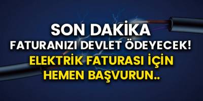 Elektrik Faturanızı Devlet Ödeyecek! Başvuru Şartlarını Tamamlamanız Yeterli…