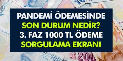Pandemi Ödemesinde Son Durum..! 1000 TL Pandemi Destek Ödemesi Sorgulama..!
