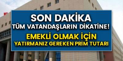 Sigortasız, çiftçiler ve yarım gün çalışanlar... Emekli olabilmek adına aylık yatırılması gereken prim tutarı