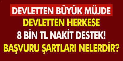 Devletten Büyük Müjde! Devlet Herkese 8 Bin TL Ödeme Yapacak!