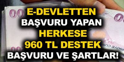 E-Devletten Başvuru Yapan Herkese 960 TL Destek! İşte Başvuru Şartları Haberimizde