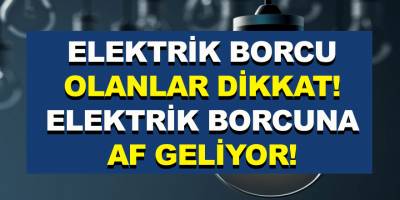 Elektrik borcu olanlar dikkat! Elektrik borcuna af geliyor…