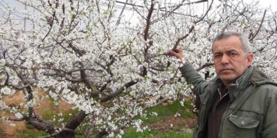 Mersin’de kar yağdı erik ağaçları çiçek açtı