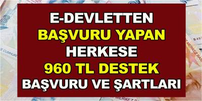 Herkese 960 TL Destek!  E-devlet üzerinden alınan başvurular nasıl yapılacak? İşte Başvuru Şartları...