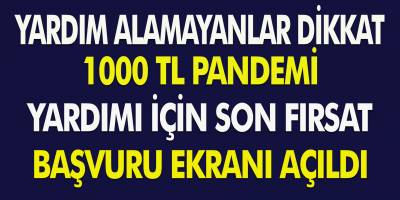 1000 TL Yardım Alamayanlar Son Fırsat! Yeni Ödeme Miktarı İle Başvuru Ekranı Açıldı...