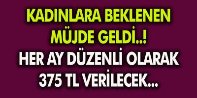Kadınlara Beklenen Müjde Geldi! Aylık Düzenli Olarak 375 TL Verilecek... Başvuru Şartları Neler?