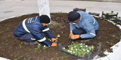 Ürettikleri çiçeklerle Ceyhan’ı süslüyorlar
