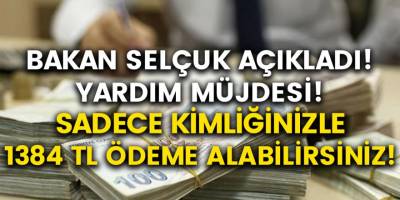 Bakanlık Müjdeyi Verdi! Sadece Kimliğinizle Başvurarak 1384 TL Nakit Ödeme Alabilirsiniz…