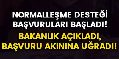 Bakanlık Açıkladı, Başvuru Akınına Uğradı! Normalleşme Desteği Başvurusu Nasıl Yapılır?