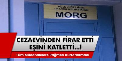 Diyarbakır Yenişehir'de Cezaevinden firar etti, eşini  sokak ortasında katletti