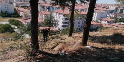 Çorum’un Sungurlu ilçesinde yangın