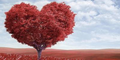 14 Şubat’ta hediye talep etmek ilişkiyi olumsuz etkileyebilir